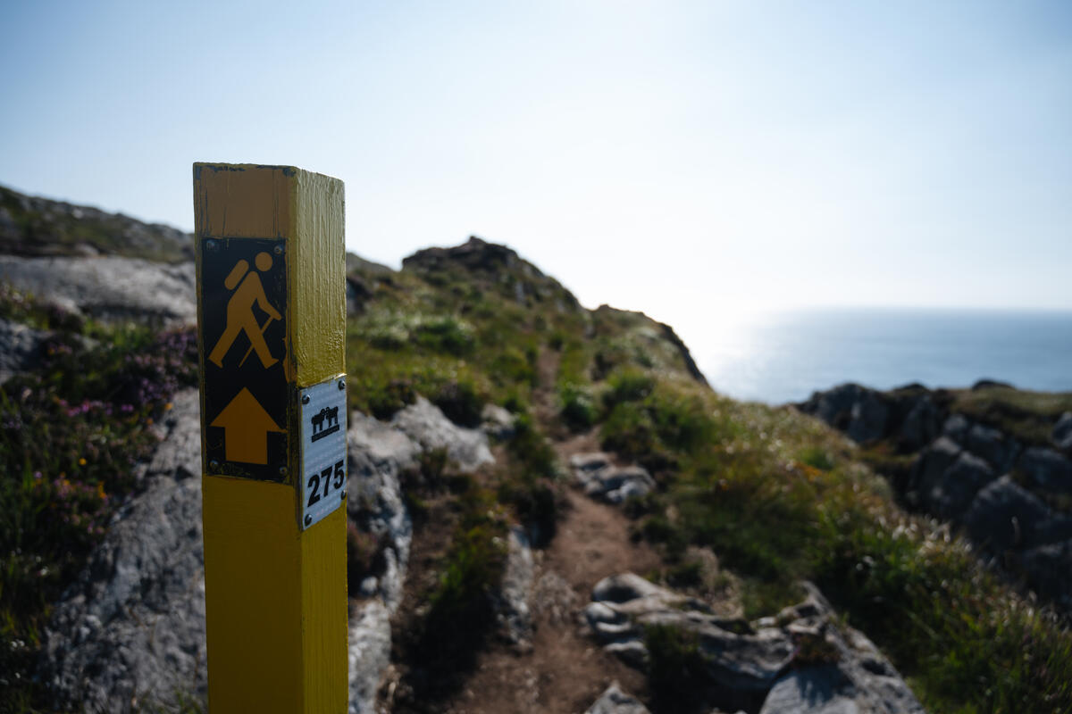 Walking Groups West Cork